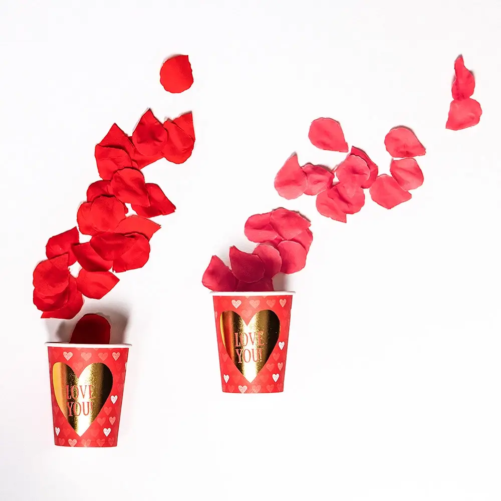 Pétales de Rose Rouges Saint-Valentin – Décoration Mariage et Table