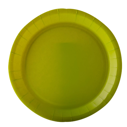 Assiettes Carton Rondes 22 cm Vert Clair – Vaisselle de Fête