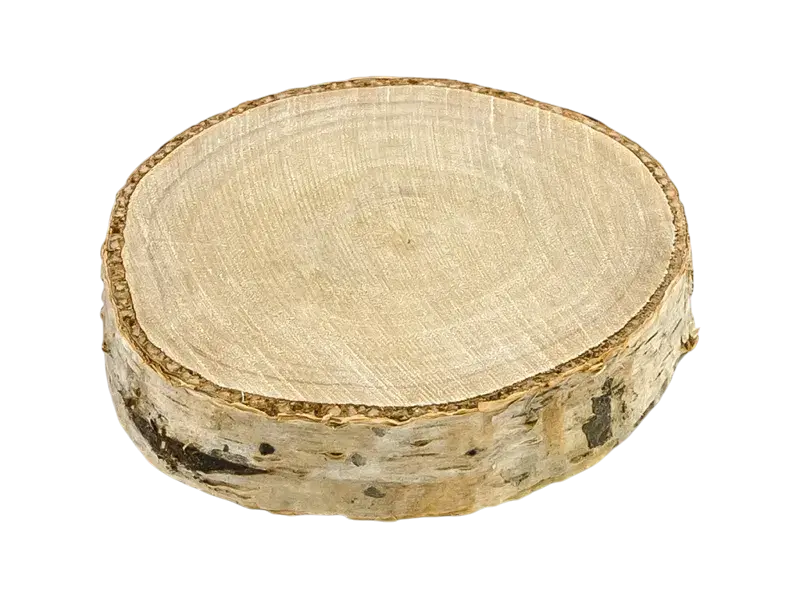 Marque-places en bois rond 4 cm – lot de 6 supports pour décoration de table