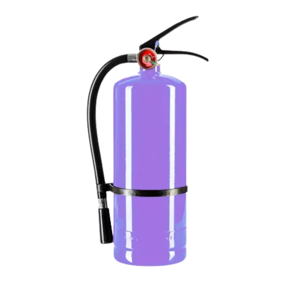 Extincteur Poudre Holi Violet - 5Kg