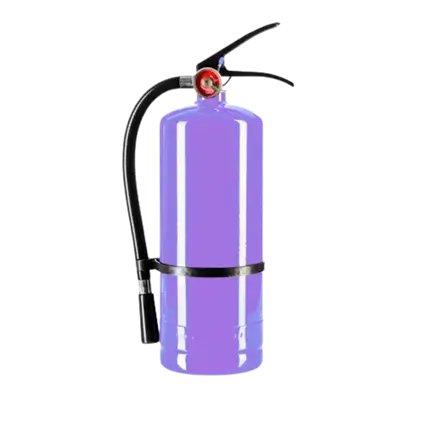 Extincteur Poudre Holi Violet - 5Kg