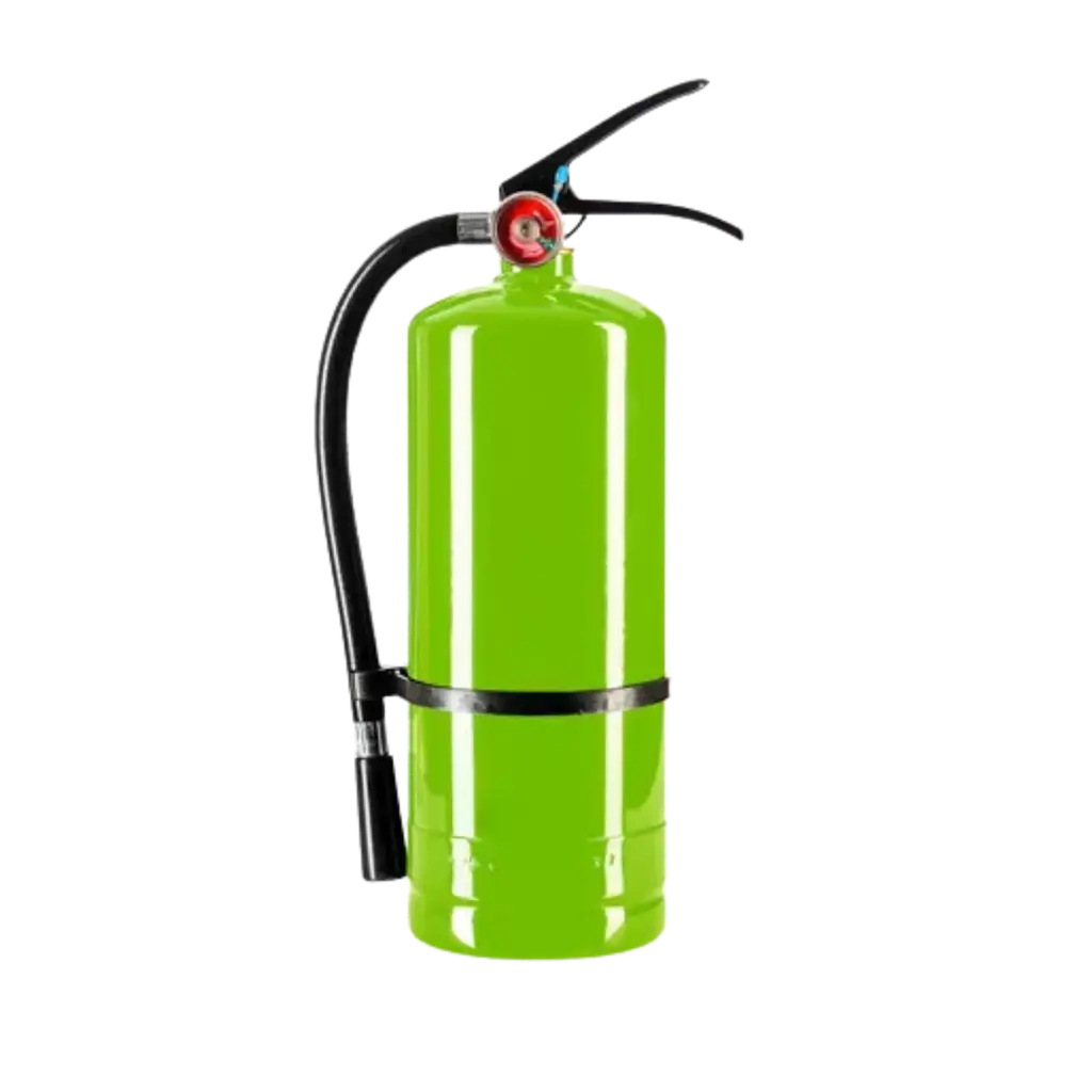 Extincteur Poudre Holi Vert - 5Kg