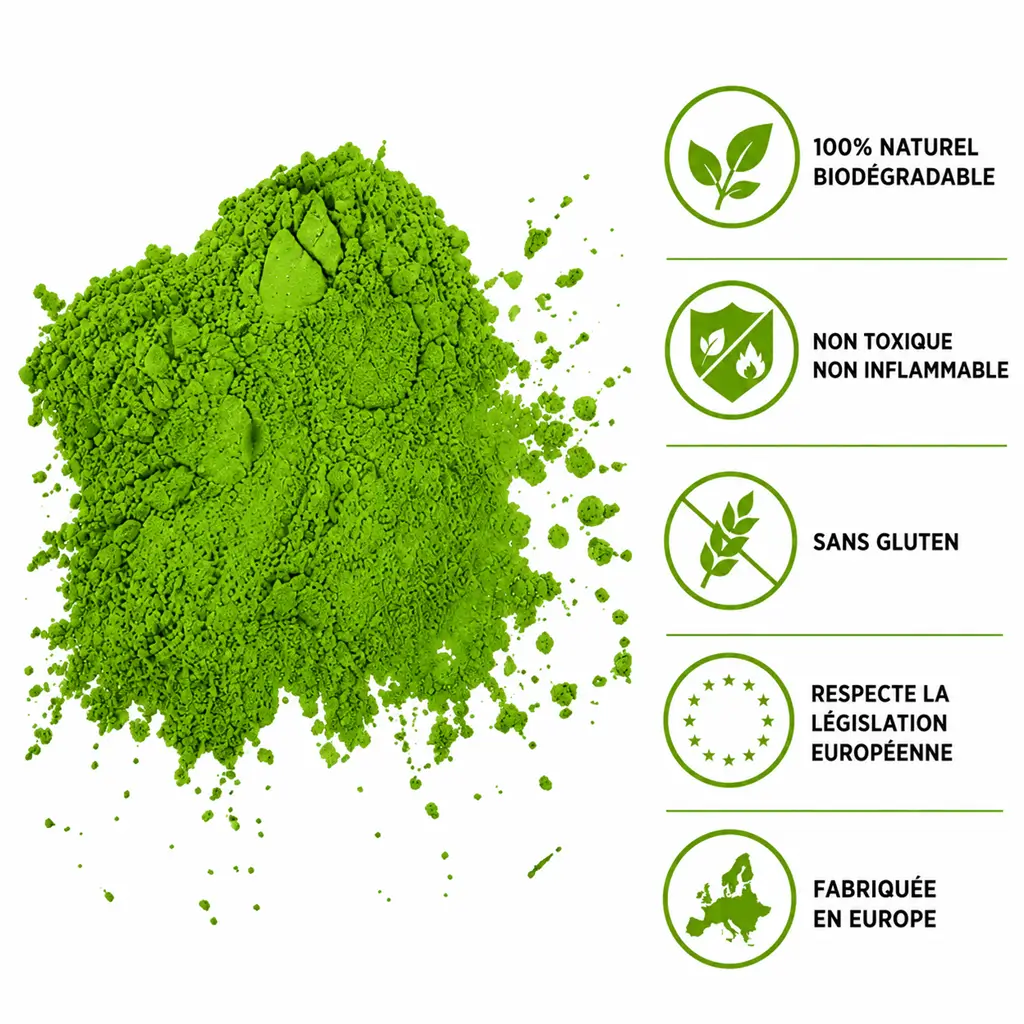 Extincteur Poudre Holi Vert - 5Kg