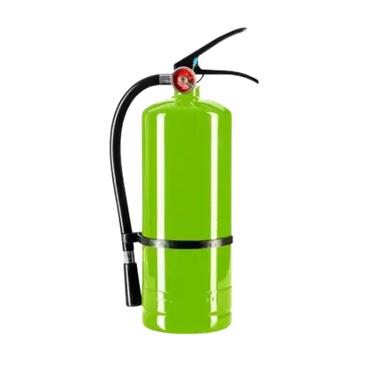 Extincteur Poudre Holi Vert - 5Kg