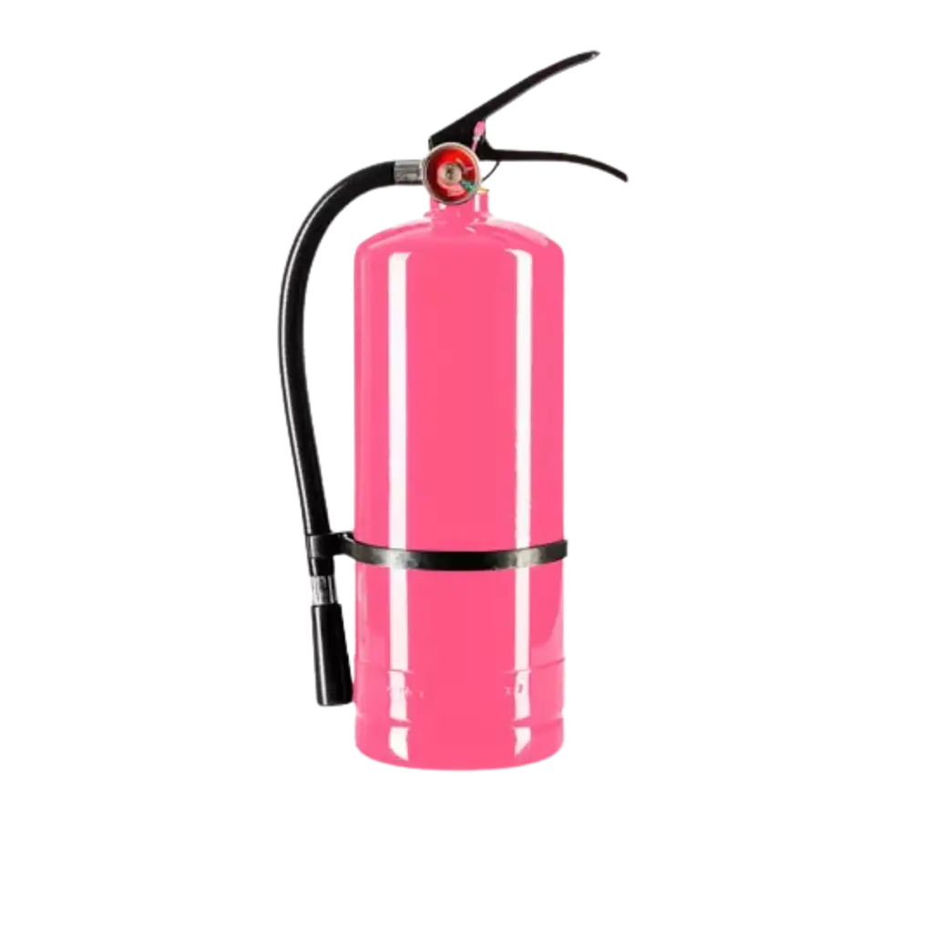 Extincteur Poudre Holi Rose - 5Kg