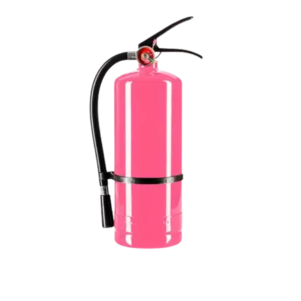 Extincteur Poudre Holi Rose - 5Kg