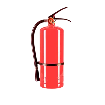 Extincteur Poudre Holi Rouge - 5Kg