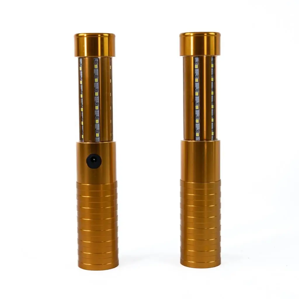 Lot de 2 BÂTONS LED BOUTEILLE V.I.P OR