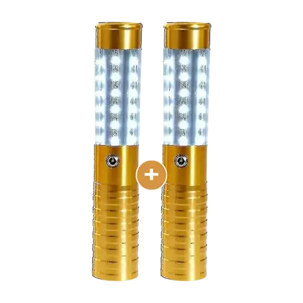 Lot de 2 BÂTONS LED BOUTEILLE V.I.P OR