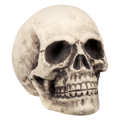 Tête de Mort Géante 27 x 27 x 38 cm – Décoration Halloween