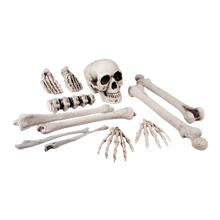 Lot de 12 Têtes de Mort et Os 23 cm – Décoration Halloween