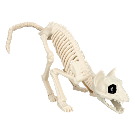 Squelette de Chat 49 x 18 x 14 cm – Décoration Halloween