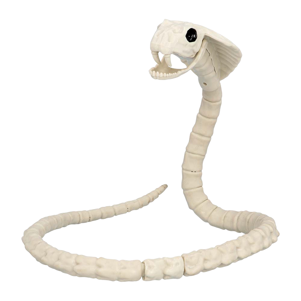 Squelette de Serpent 102 cm – Décoration Halloween