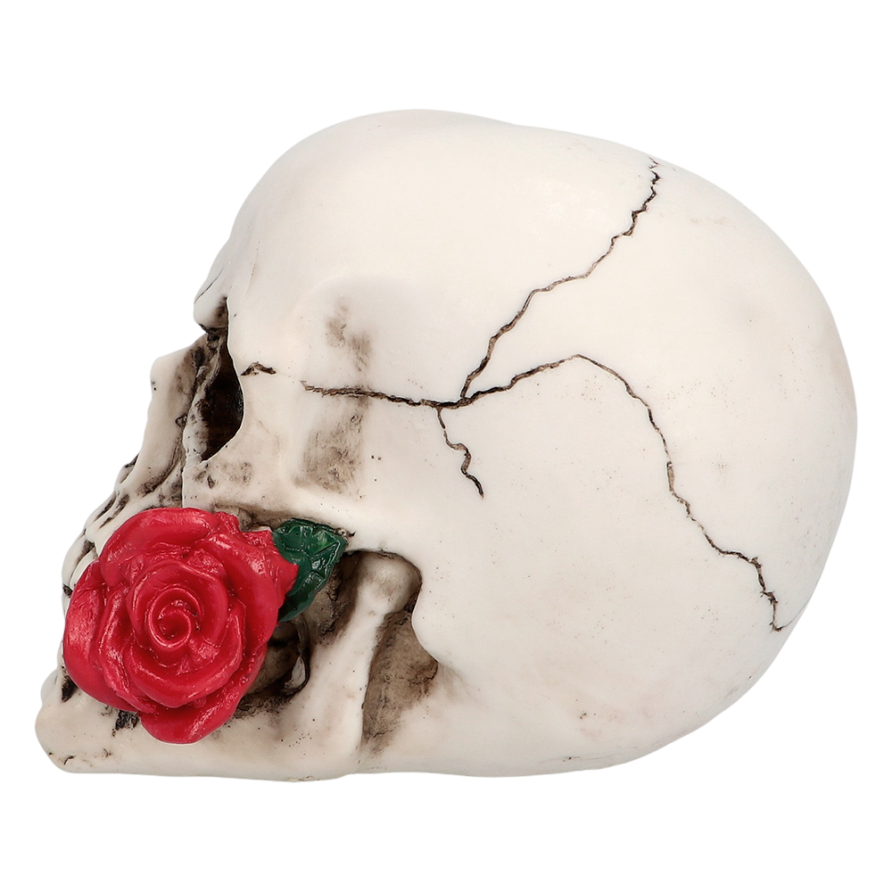Tête de Mort avec Rose 10 x 10,5 x 13 cm – Décoration Halloween