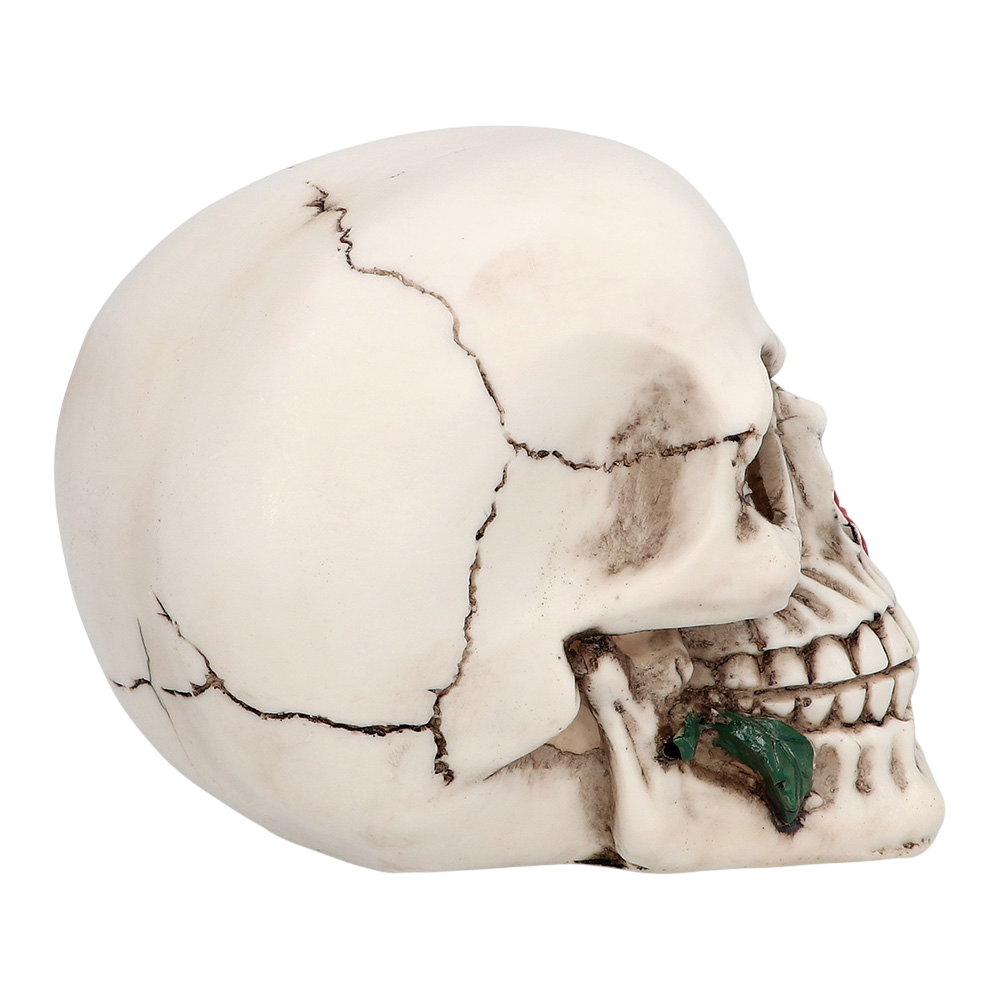 Tête de Mort avec Rose 10 x 10,5 x 13 cm – Décoration Halloween