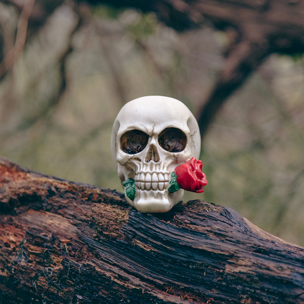 Tête de Mort avec Rose 10 x 10,5 x 13 cm – Décoration Halloween