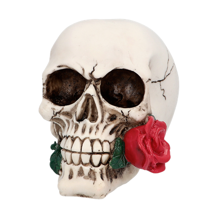 Tête de Mort avec Rose 10 x 10,5 x 13 cm – Décoration Halloween