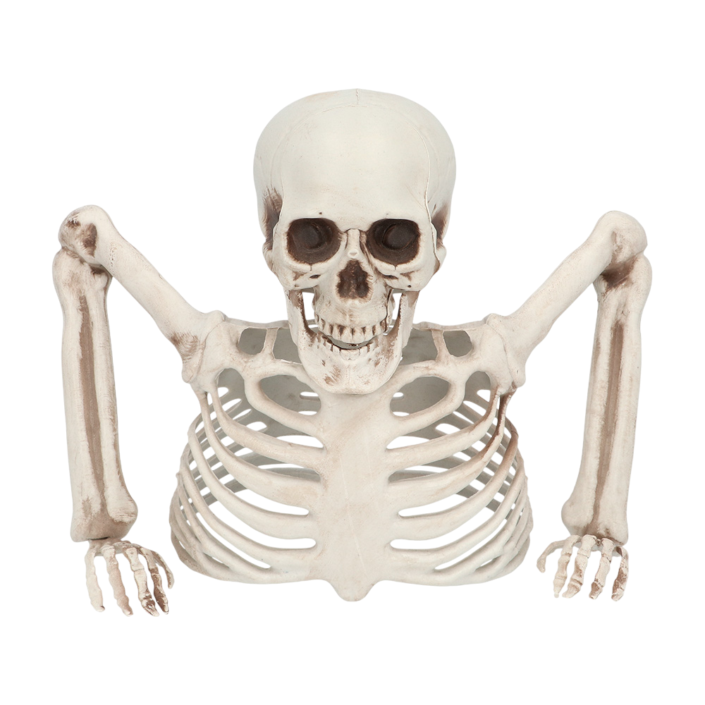 Squelette Sortant du Sol 20 cm – Décoration Halloween
