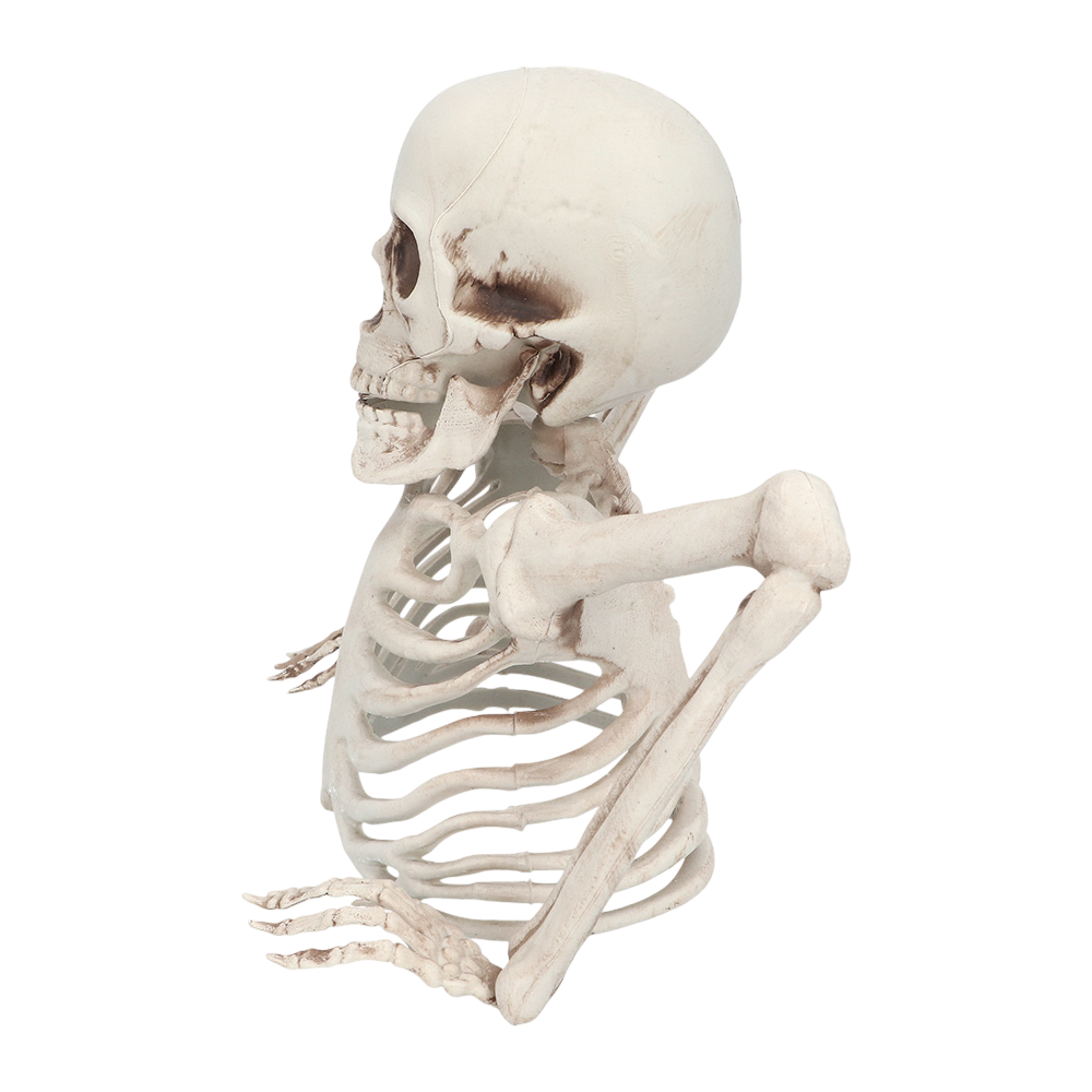 Squelette Sortant du Sol 20 cm – Décoration Halloween