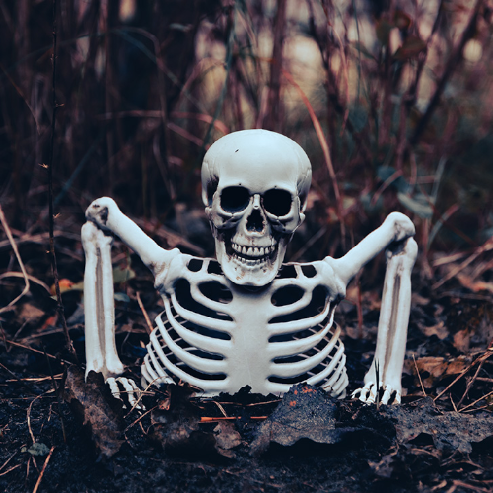 Squelette Sortant du Sol 20 cm – Décoration Halloween