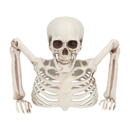 Squelette Sortant du Sol 20 cm – Décoration Halloween