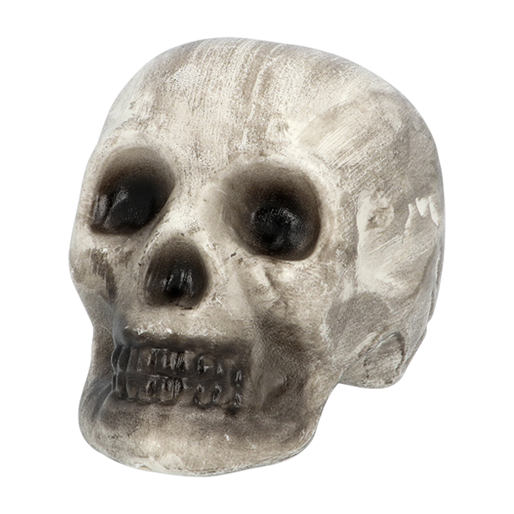 Lot de 6 Têtes de Mort et Os – Décoration Halloween