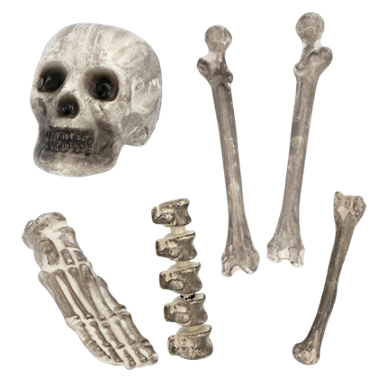 Lot de 6 Têtes de Mort et Os – Décoration Halloween