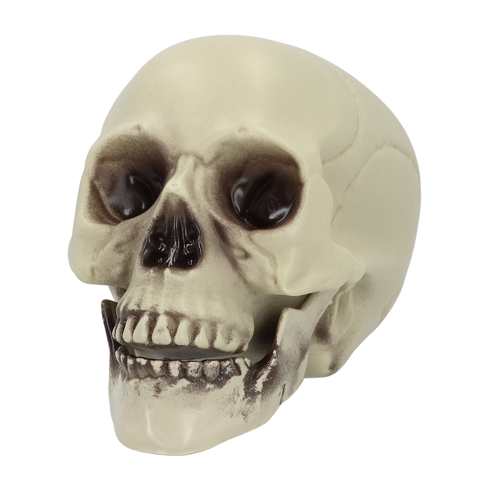 Tête de Mort Décorative 15 x 20 x 16 cm – Halloween