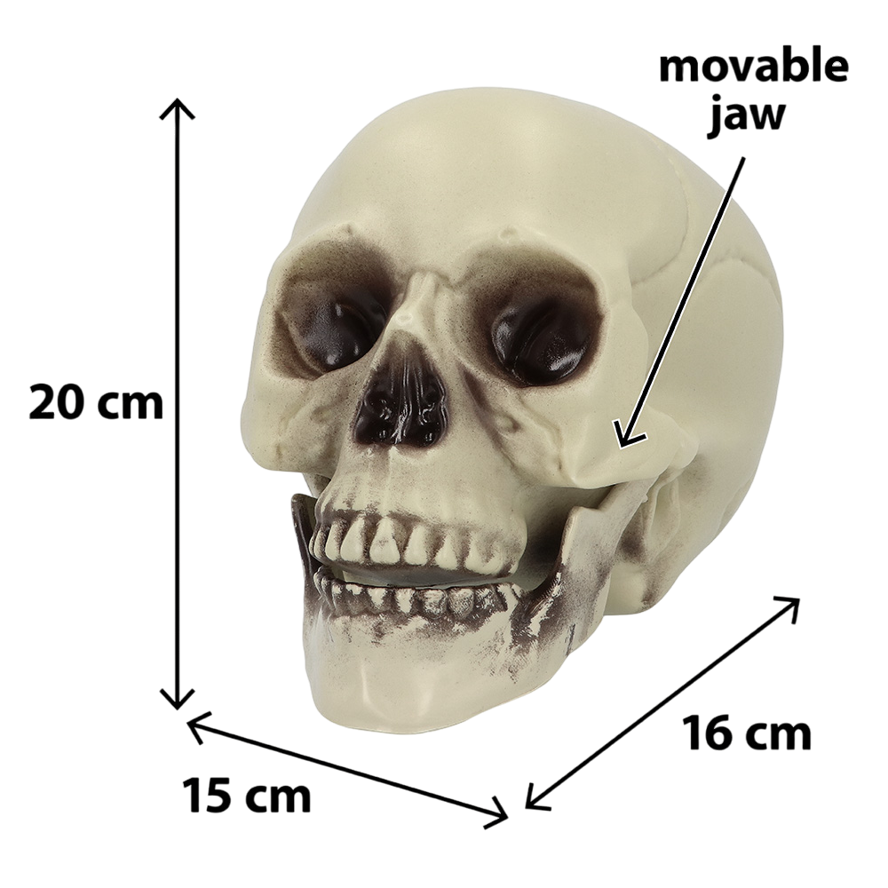 Tête de Mort Décorative 15 x 20 x 16 cm – Halloween