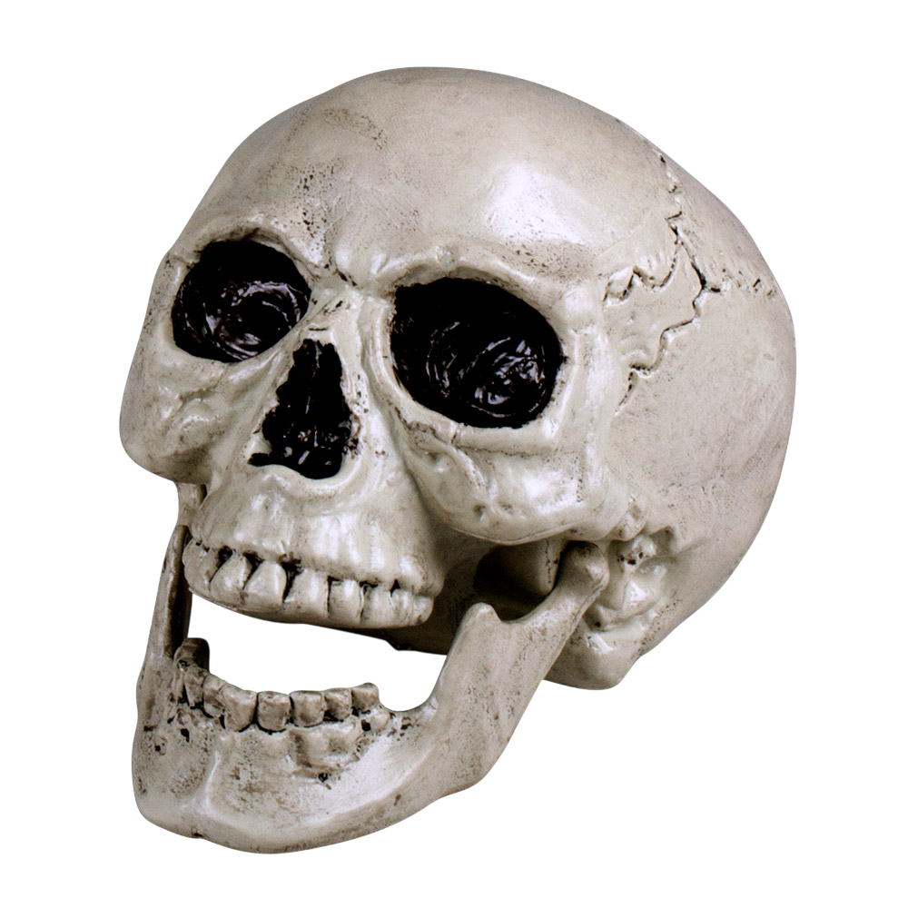 Tête de Mort Blanche à Mâchoire Mobile 24 cm – Décoration Halloween