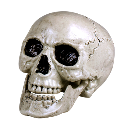 Tête de Mort Blanche à Mâchoire Mobile 24 cm – Décoration Halloween
