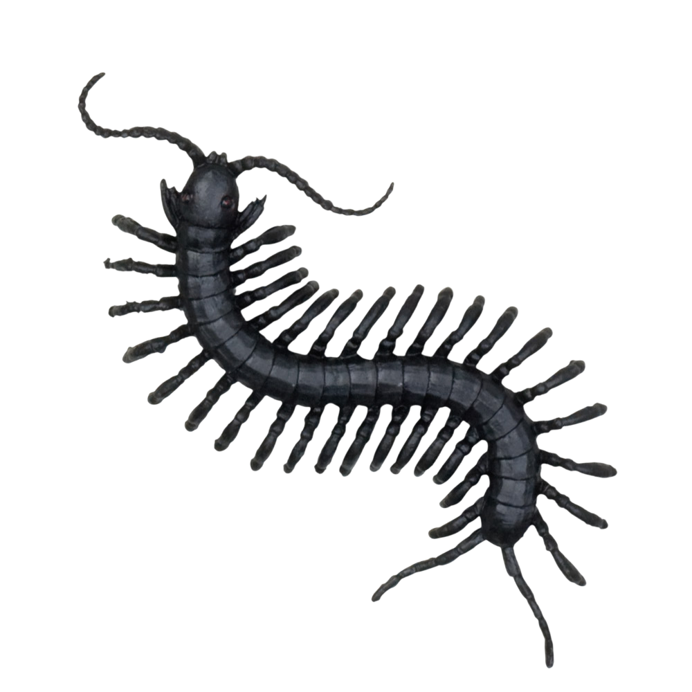 Lot de 6 Créatures Effrayantes – Décoration Halloween