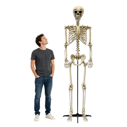 Squelette Géant 240 cm – Décoration Halloween