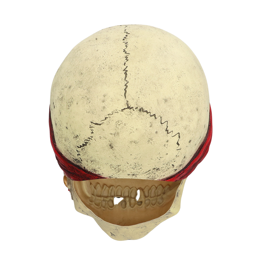Masque Latex Pirate – Déguisement Halloween