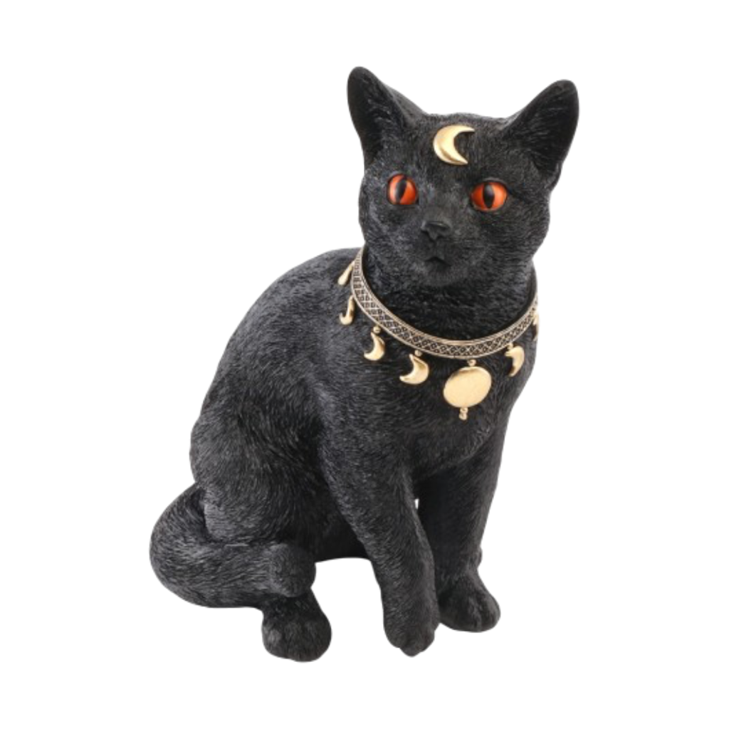 Chat Noir Mystique 28 cm – Décoration Halloween