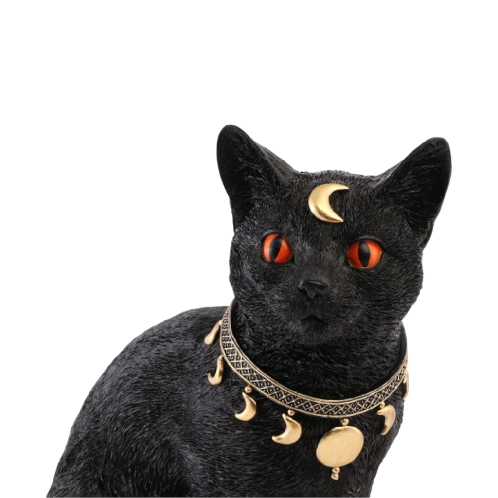 Chat Noir Mystique 28 cm – Décoration Halloween