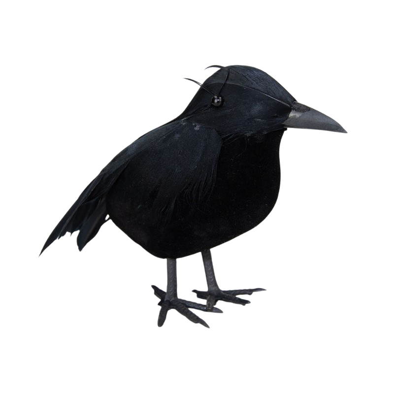 Corbeau Décoratif – Décoration Halloween