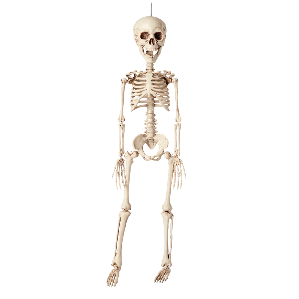 Squelette à Suspendre 40 cm – Décoration Halloween