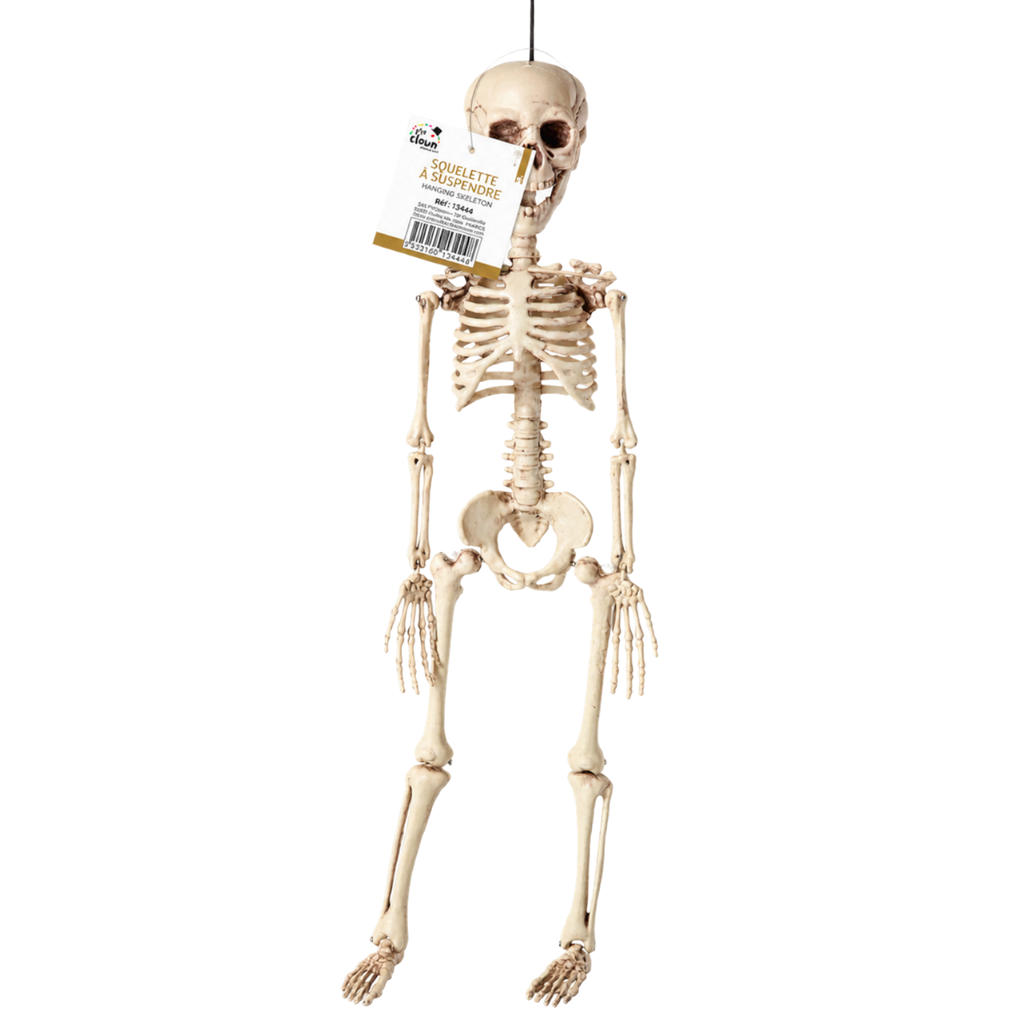 Squelette à Suspendre 40 cm – Décoration Halloween